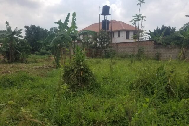Plot Of Land For Sale In Gayaza Ku munaana