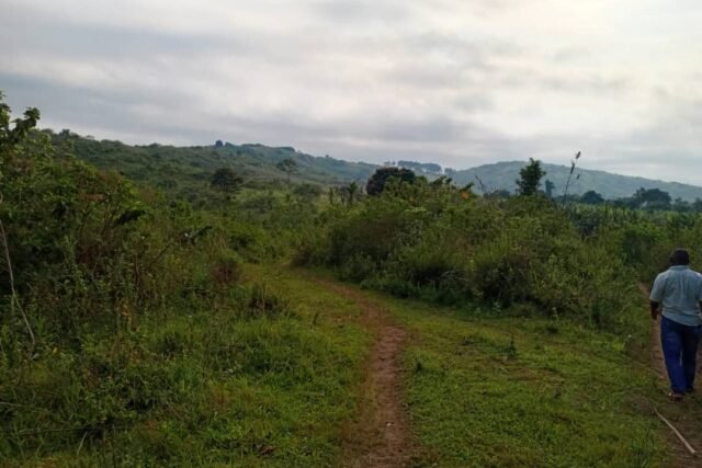 120 Acres of Land for Sale in Busunju