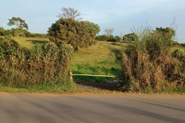 Cheap Land for Sale: Matugga–Migadde, Uganda